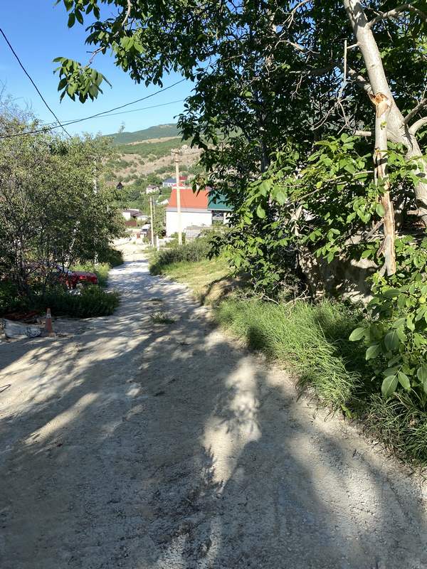 Популярные