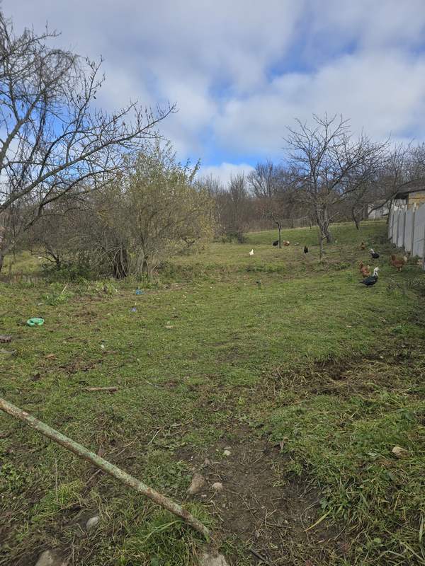 Популярные