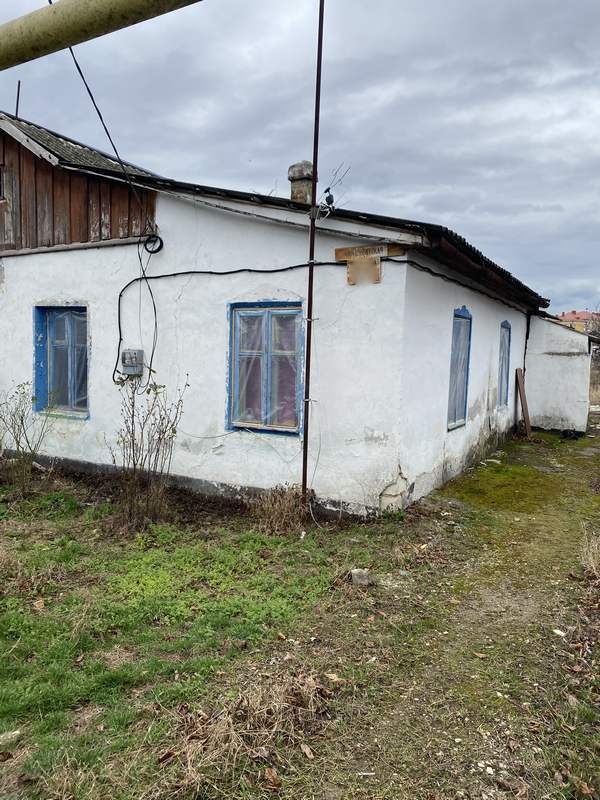 Популярные