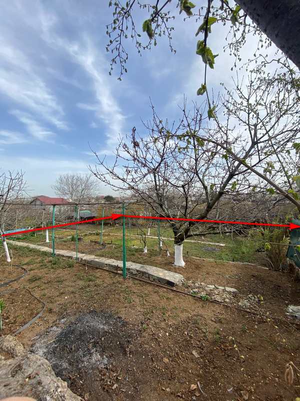 Популярные